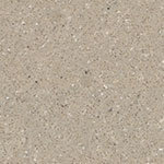 Quartzforms Fossil Ammonite 855