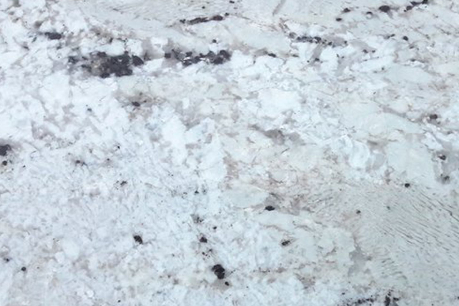 Granit Texta Fantastic White