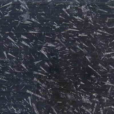 Marbre Megastone Fossile Black