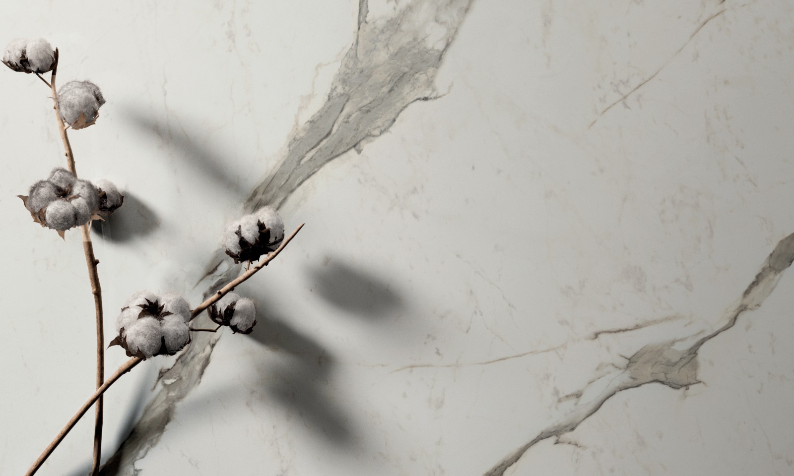 Galerie photos Céramique Materia Staturio Superior