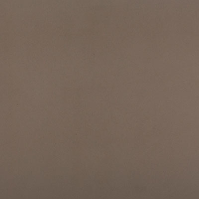 Quartz Silestone Noka