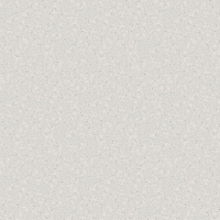 Plan de travail Silestone Bianco Rivers